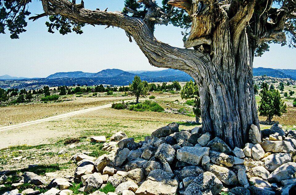 Taseli Plateau yayla